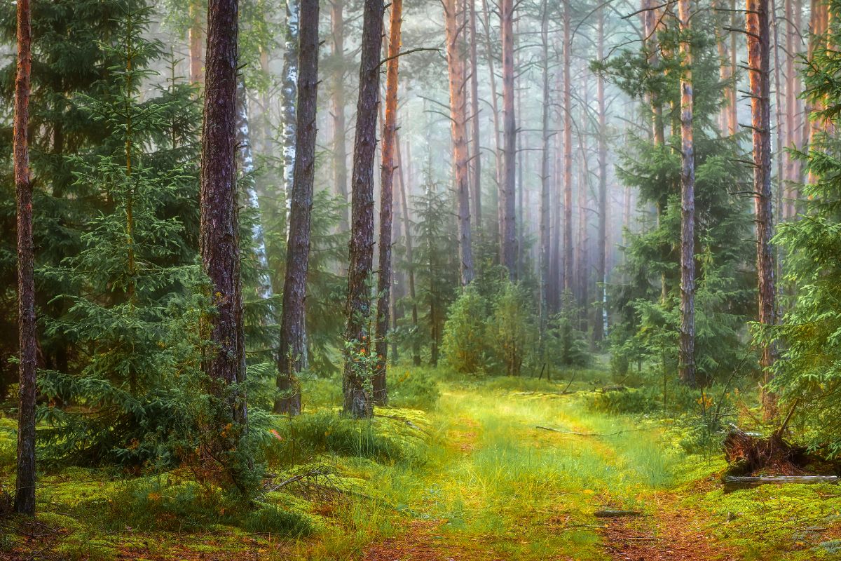 Podróże związane z naturą i przyrodą